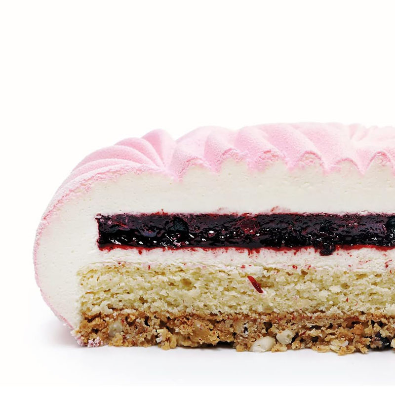Round Mousse Cake Pan For Baki - Kitchen Gadgets Ninja review and price