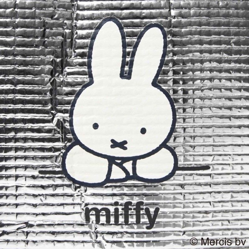 Authentic Miffy Insulated Lunc - Kitchen Gadgets Aliexpress review and price