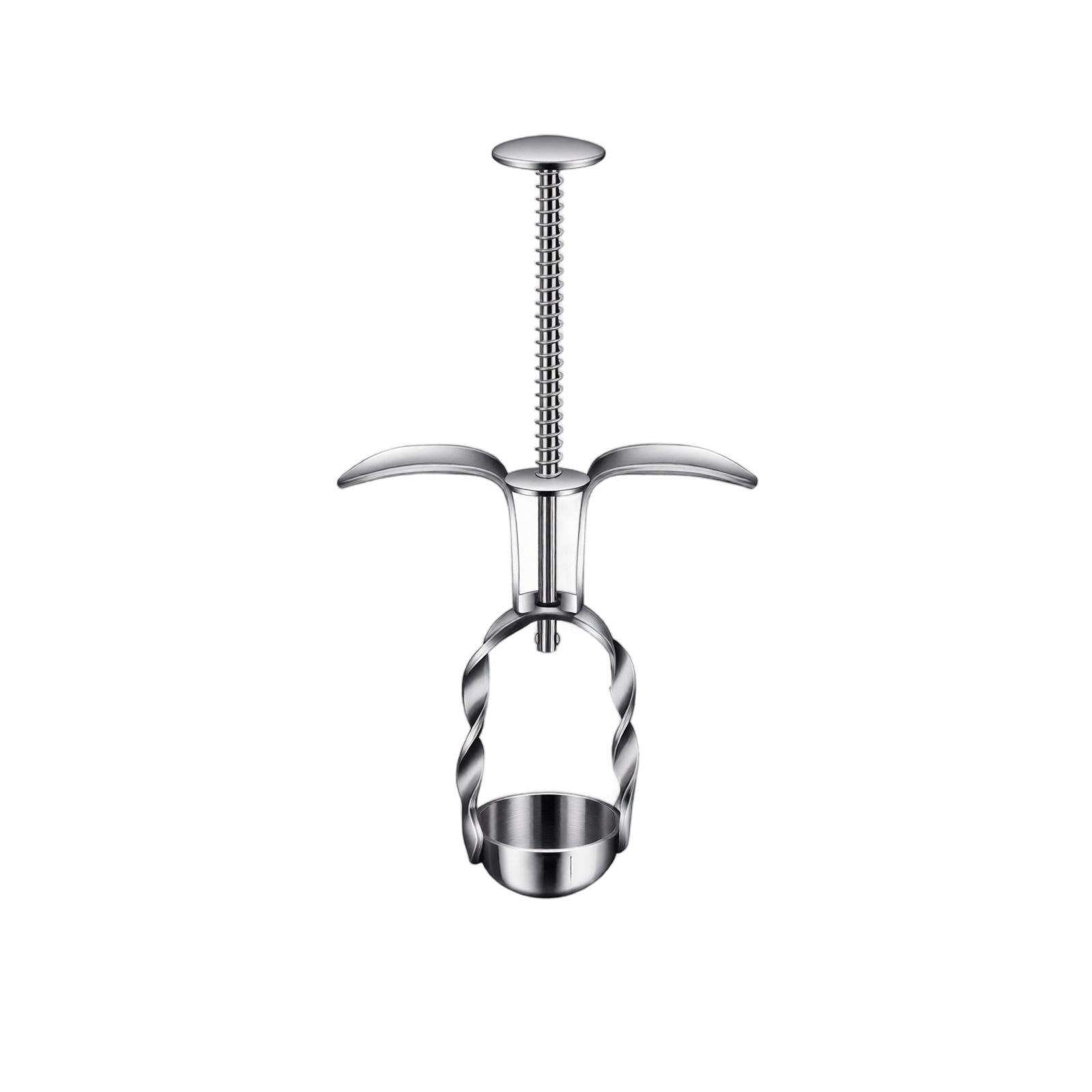 Stainless Steel Red Date Pitte - Kitchen Gadgets Tools review and price